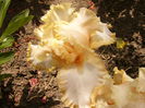 P1240210