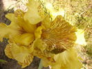 P1240220