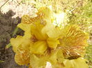 P1240221