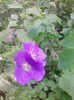 IMG_20150520_181953