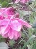 IMG_20150520_181425