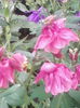 IMG_20150520_181543
