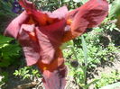 SAM_5213