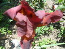 SAM_5214