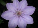 SAM_5171