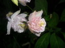 SAM_5178