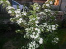 SAM_5182