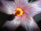 SAM_5201