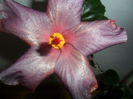 SAM_5202