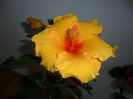 SAM_5234