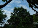 DSCN7198