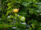 DSCN7199
