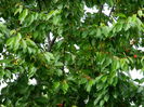 DSCN7201