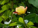DSCN7202