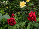 DSCN7293