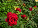 DSCN7302