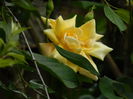 DSCN7308