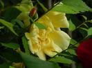 DSCN7309
