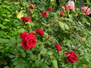 DSCN7310