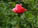 DSCN7317