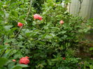 DSCN7318