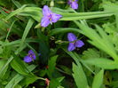 DSCN7319
