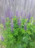 20150516_105256
