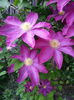 20150513_192741