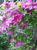 20150513_192815