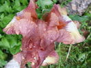 20150510_085704