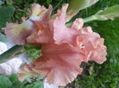 20150514_192650