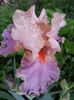 20150517_185942