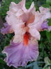 20150517_185949