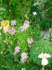 DSC08195