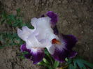 P1220292