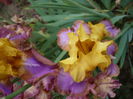 P1220296