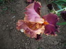 P1220300