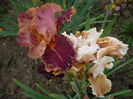 P1220301