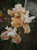 P1220305