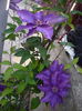 P1220306
