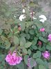 20150521_202217