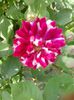 20150521_170457