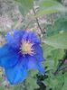 20150521_202129
