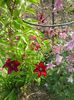 20150516_082339