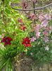 20150516_082345