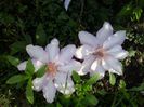 20150516_082832