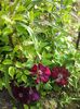 20150516_083003