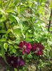 20150516_083005