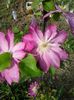 20150516_083025