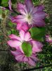 20150516_083028